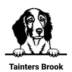 Lovely Holiday Home to explore beautiful West Wales