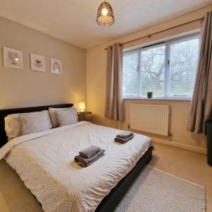 Lovely Holiday Home to explore beautiful West Wales