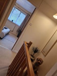 Lovely Holiday Home to explore beautiful West Wales