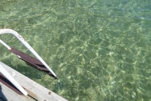 Lakeside Cottage on Torch Lake