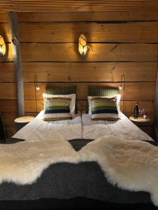 Northern Lights River Nest