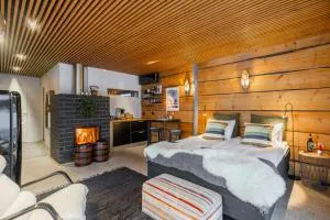 Northern Lights River Nest - Rovaniemi