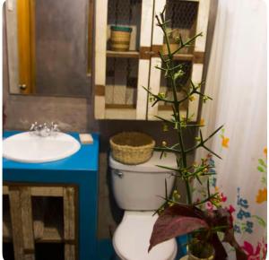 SAMAY WASI Rest house