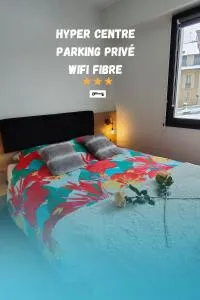 Magnifique 3 étoiles en hyper centre avec place privée - 艾克斯河畔格雷西