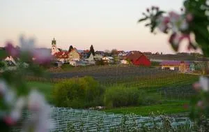 Gasthof Brennerei zum Forst - 诺伊基希