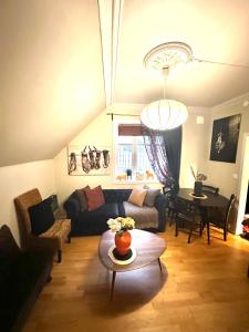 Historical house with view and separate entrance