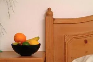 安德里斯河芬酒店 - 维克托尔斯博格