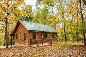 One-Bedroom House room in Ferngully Creek Cabins