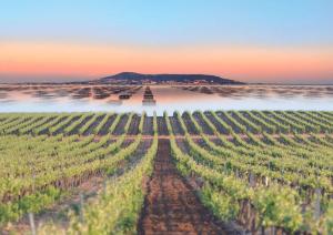 Appartements saime : photos des chambres