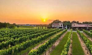 8b 4b nearby pool Blanco wine trail town sq