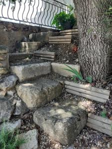 Maisons de vacances Au pied du Luberon : photos des chambres