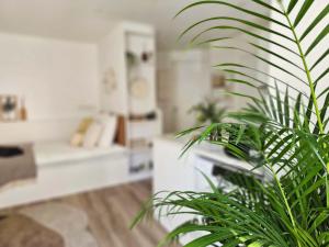 Apt lumileux with sunshine