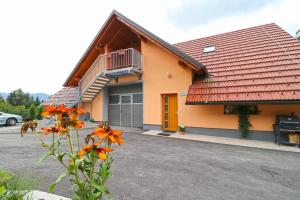 Apartments Laznica