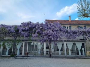 B&B / Chambres d'hotes La Bastide des Arts : photos des chambres