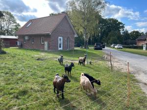 Ferienhaus im Rundling
