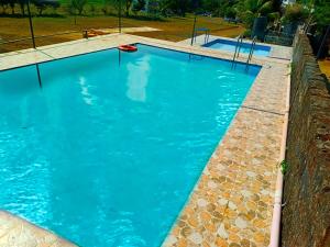 Lions Safari Farm & Resort