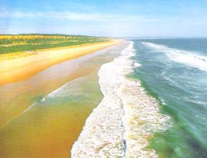 Beach House Costa Da Caparica