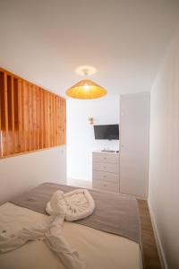 Wave Shadows Beach House Oceanfront property - Bottom Floor