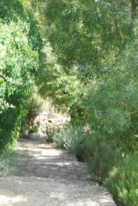 Sintra Center Guest House