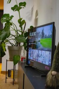 Harmony Green Studio