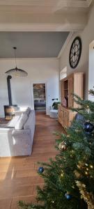 Appartements La Villa du Parc - Alsace & Vosges : photos des chambres