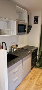 Appartements La Villa du Parc - Alsace & Vosges : photos des chambres