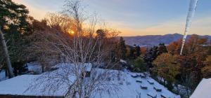 Appartements La Villa du Parc - Alsace & Vosges : photos des chambres