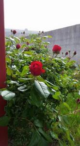 La Clef Du Bonheur photo 18