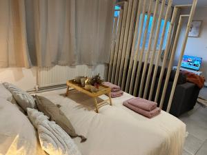 Appartements LeRelaisdOdile - Studio Cosy - Proche Metro - Parking Gratuit - Mons-en-Baroeul : photos des chambres