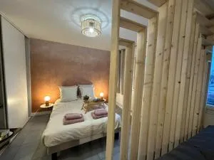 LeRelaisdOdile - Studio Cosy - Proche Metro - Parking Gratuit - Mons-en-Barœul - 蒙桑巴勒尔