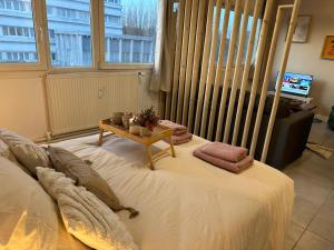 Appartements LeRelaisdOdile - Studio Cosy - Proche Metro - Parking Gratuit - Mons-en-Baroeul : photos des chambres