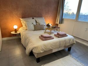 Appartements LeRelaisdOdile - Studio Cosy - Proche Metro - Parking Gratuit - Mons-en-Baroeul : photos des chambres