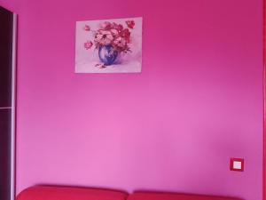 Pinky city life Split