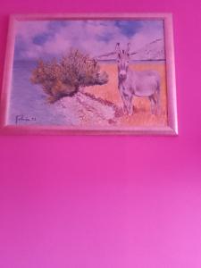 Pinky city life Split