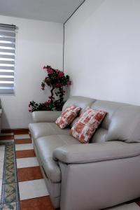 Departamento Bugambilia