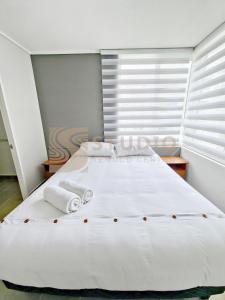 Studio Temuco Centro