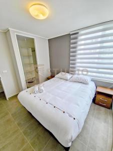 Studio Temuco Centro