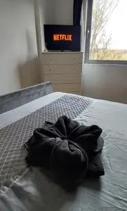 !! Londons Gem Condos ! with Concierge Free Parking ! Gym n Heated Pool ! Restaurants ! Shops ! Great Value ! Weekend Deals inclusive !! - 克罗伊登