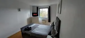 Charming 1BDR Serviced Condo! 4 guests Pool n Free parking - 克罗伊登