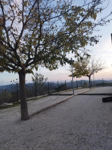 Maisons de vacances Jolie petite Maison, Clim, residence avec piscine a 5mn circuit Paul Ricard : photos des chambres