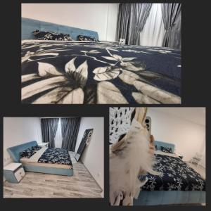 A Rental Apartment M