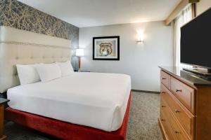King Suite with Sofa Bed room in Drury Inn & Suites Springfield