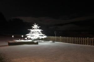 Apartment in Zillertal near Ski Slopes
