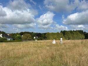 B&B / Chambres d'hotes Reve de Clarte : photos des chambres