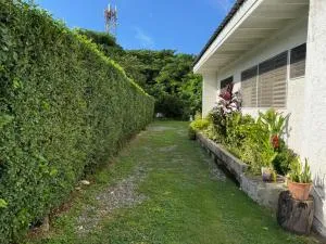 Shalom Suite 2, Manor Park - Cherry Garden