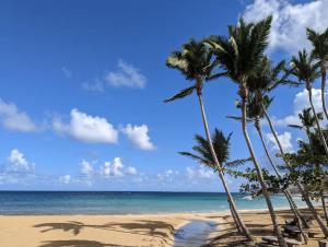 Luxury 2 Bedroom Apartment, 1 Min Walk to Punta Popy Beach, Pool, AC, Fast WiFi, Las Terrenas