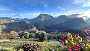 Villas La Bergerie des Cimes : photos des chambres