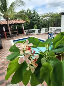 Villa Corralito Campestre - Guayabal