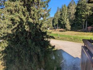 Studio cabine cosy pour 4 pers, au pied des pistes - FR-1-557-129