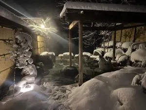 Hataya Onsen Sasa no yu - 追貝
